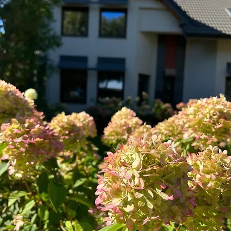 Eldorado * Tomice (Masovia)