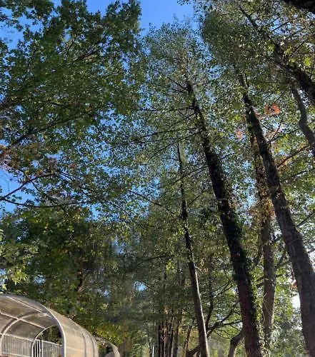 Hotel Eldorado Tomice (Masovia)