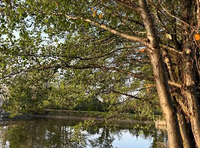 Eldorado Tomice (Masovia)