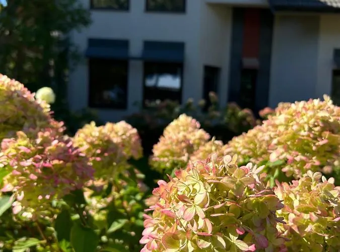 Eldorado * Tomice (Masovia)