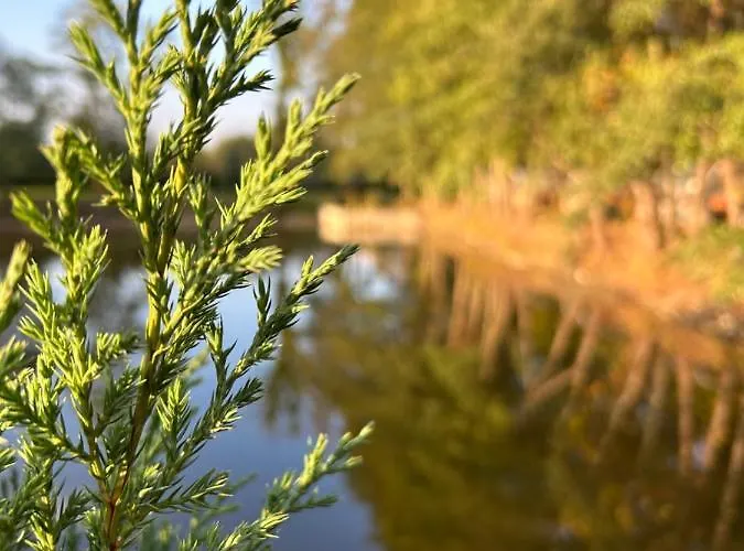 Eldorado * Tomice (Masovia)